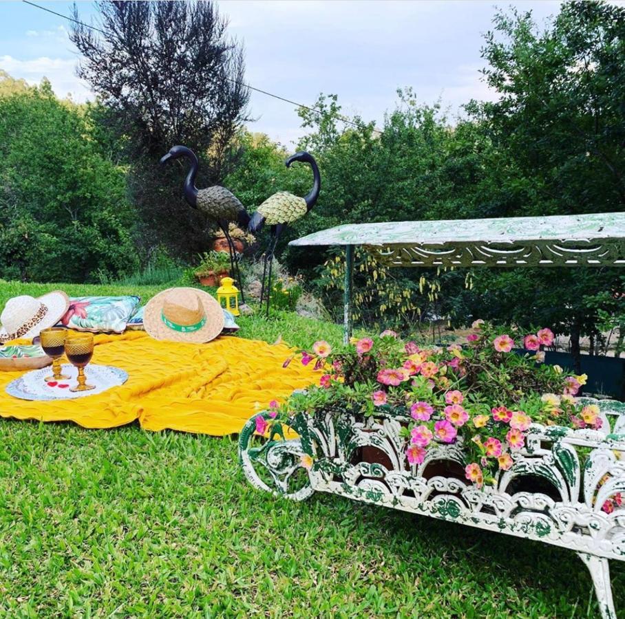 Quinta Paraiso Do Ermal ヴィエイラ・ド・ミーニョ エクステリア 写真